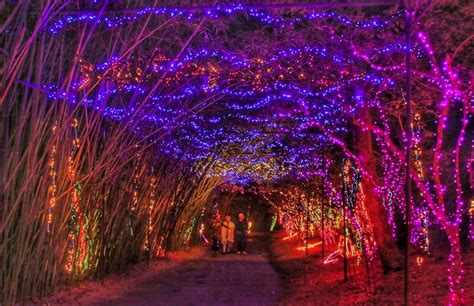 See The Best Christmas Lights In Alabama On This Holiday Road Trip