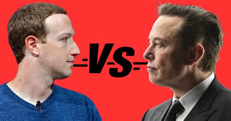 Mark Zuckerberg Vs Elon Musk Cage Fight: Expert Analysis Reveals the ...