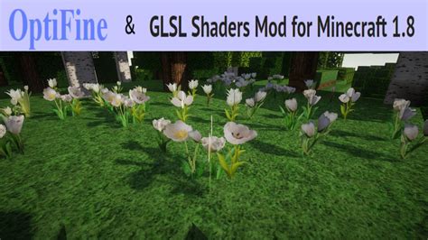 How to install ShadersMod together with Optifine in the 1.8 Version ...