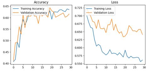 VIT performance on Original dataset | Download Scientific Diagram