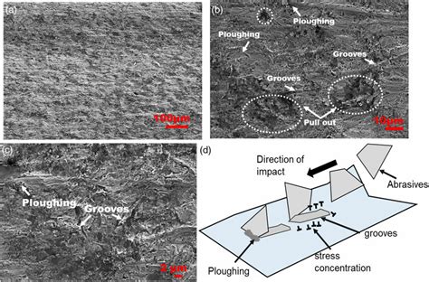 Scanning electron micrographs of a) low-magnified, b,c) high-magnified ...