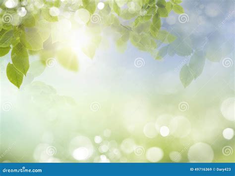 Spring or Summer Season Abstract Nature Background Stock Image - Image of blur, concept: 49716369