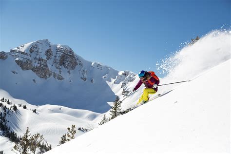 Jackson Hole, Grand Targhee & Snow King Ski Packages Just Announced | Mountain Modern Motel