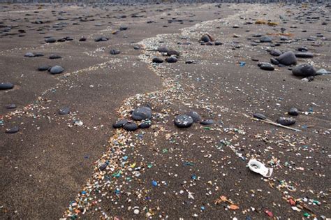 Microplastics Pollution Is Everywhere. Is It Harmful? - Scientific American