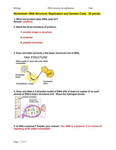 Dna Structure And Replication Worksheet – Zip Worksheet