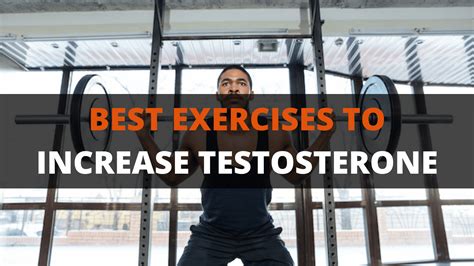 The 3 Best Exercises To Increase Testosterone | PowerliftingTechnique.com