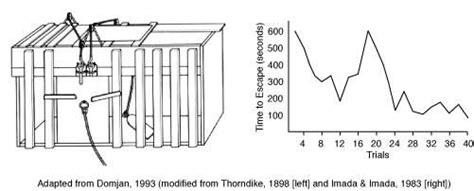 Edward Thorndike: The Law of Effect