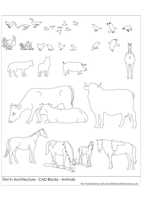 Free CAD Blocks – Animals | Cad blocks, Cad drawing, Art education ...