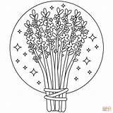 Lavender coloring page  Free Printable Coloring Pages sketch template