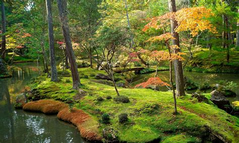 Saihoji temple in Kyoto, Japan. The magical moss garden looks like the ...