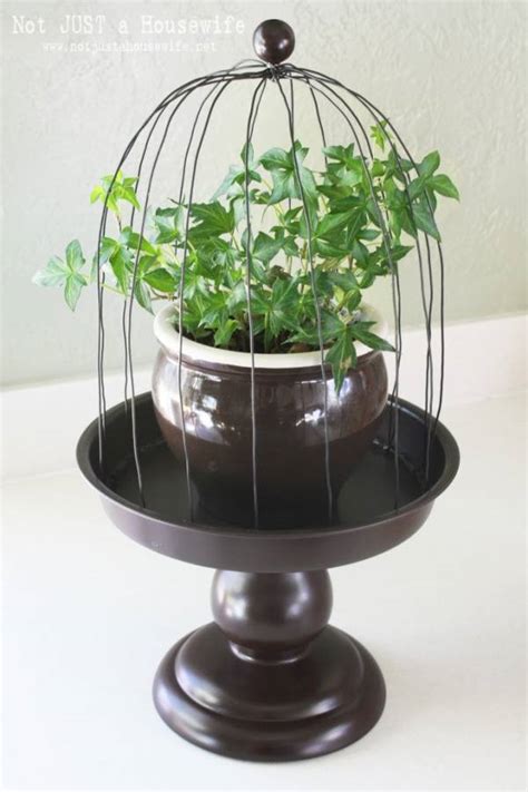 Wire Plant Cloche Tutorial – Home and Garden