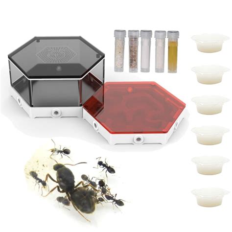 Ant + Habitat Bundles – Ants UK