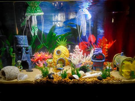 Outstanding How Hollywood Got Aquarium Decorations Diy All Wrong http://pixpig.us/aquarium ...