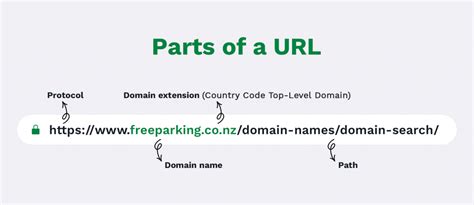 Domain Name vs. URL: What Are Their Differences? - Blog | Freeparking NZ