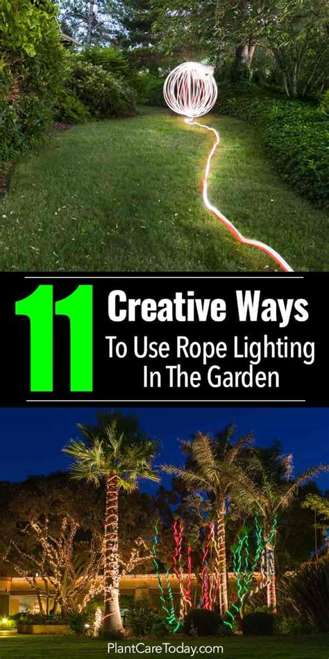 11 Creative Rope Light Ideas For The Landscape Garden