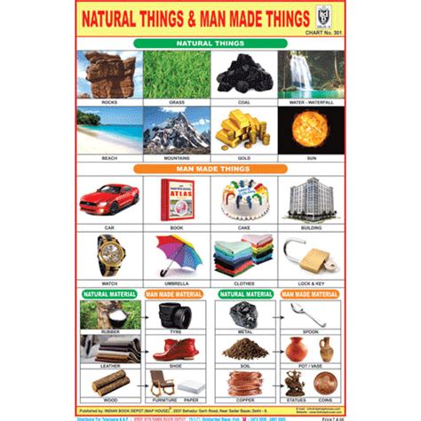 NATURAL THINGS & MAN MADE THINGS CHART SIZE 12X18 (INCHS) 300GSM ARTCA