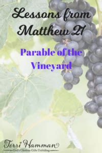 Lessons from Matthew 21: Parable of the Vineyard - Terri Hamman ...