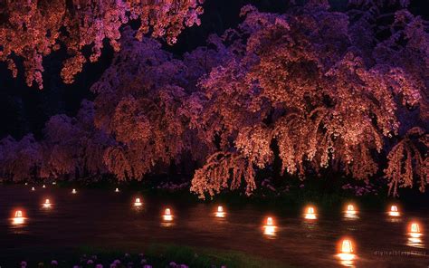 Cherry Blossom Tree At Night Wallpaper