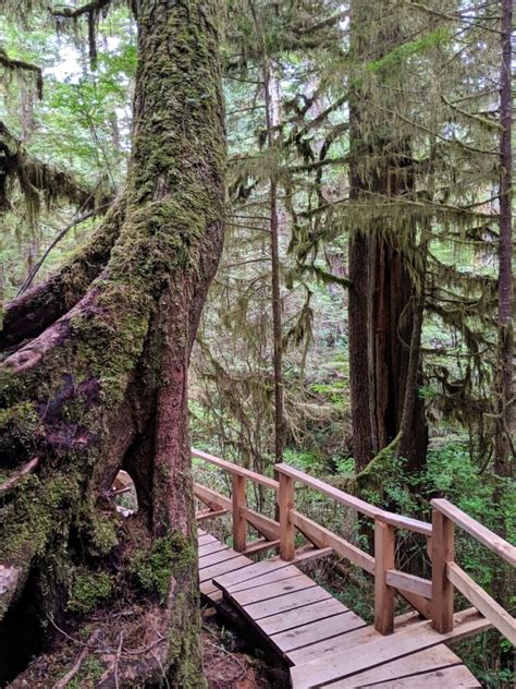 11 Fast and Fun Tofino Hikes, Vancouver Island, BC