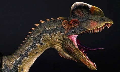 Dilophosaurus Bust by Damtoys | Sideshow Collectibles