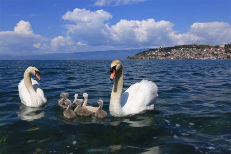 Nature – Be in Macedonia