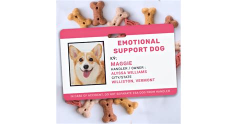 Custom Pet Photo ID Emotional Support Dog Badge | Zazzle