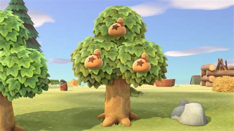 Money tree | Animal Crossing Wiki | Fandom