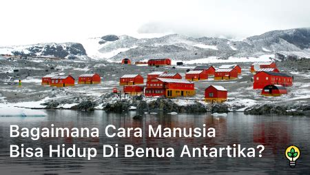 Bagaimana Cara Manusia Bisa Hidup di Benua Antartika?