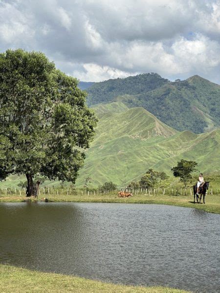 How to Go to Communal Ranch, Bukidnon: A DIY Travel Guide