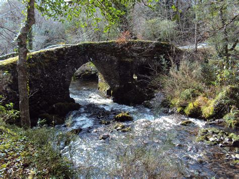 Glengarriff nature reserve - Co. Cork | Nature reserve, Nature, Outdoor