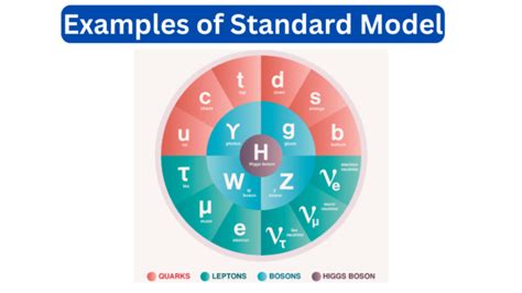 10 Examples of Standard Model