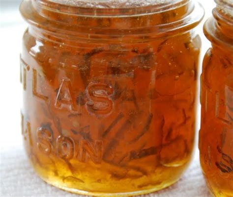 Kaffir Lime Recipes Marmalade | Besto Blog