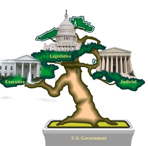 Three Branches Of Government Tree | Coloring Pages | Free Download HD ...