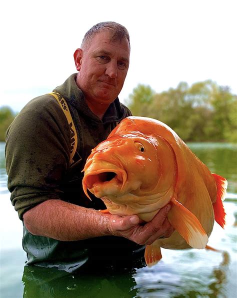 Angling notes: Could this be the world’s largest goldfish? – The Irish Times