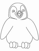 Adelie Penguin Coloring Page At GetColoringscom  Free Printable sketch template