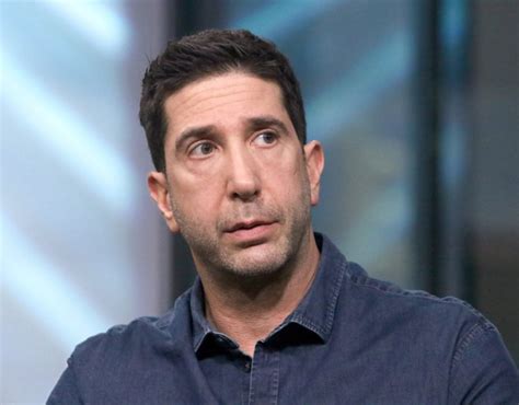 David Schwimmer Nose Job - Before And After Photos