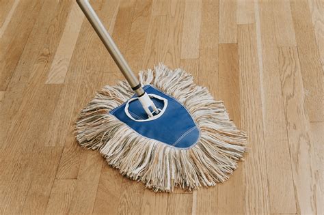 Wooly Dust Mop Floor Dusting & Mopping Cleaner Includes Frame and Exte ...