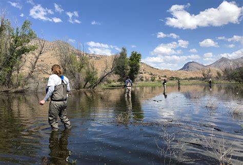 The 11 Best Fly Fishing Spots In Nevada Only Locals Know About | Only In Your State