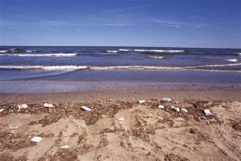 The Dirtiest Beaches In America [VIDEO]