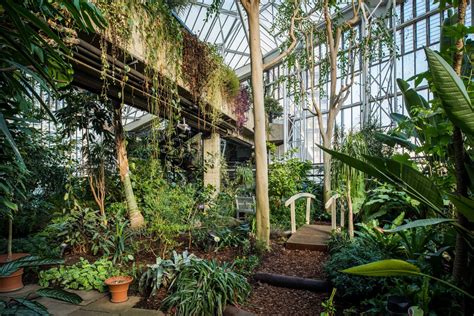 Visit the second biggest Conservatory in London and explore our hidden tropical oasis in the ...