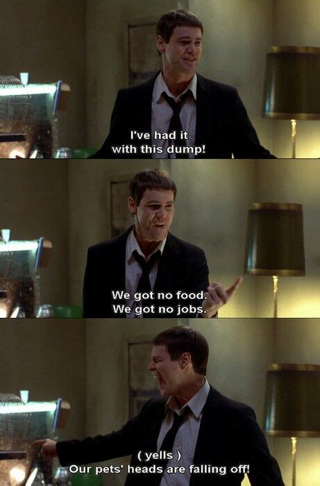 Dumb And Dumber | Funny movies, Favorite movie quotes, Good movies