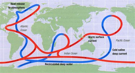 Thermohaline Circulation