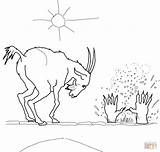 Three Billy Goats Gruff Coloring Pages sketch template