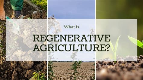 What Is Regenerative Agriculture?