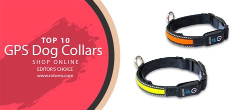 Best GPS Dog Collars 2023 | Top 10 - GPS Dog Collar - Editor's Choice