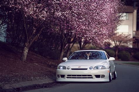 Sakura Wallpaper 4k Pc Cars Hd - IMAGESEE