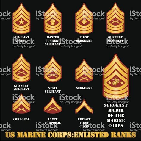 The insignia of enlisted ranks in the US Marine Corps. | Us marine ...