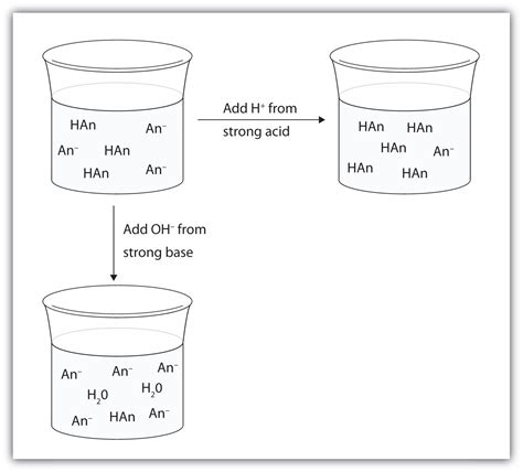 10.5 Buffers | The Basics of General, Organic, and Biological Chemistry