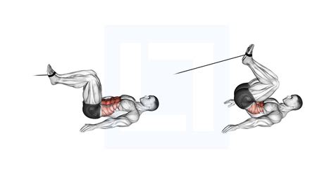 Cable Reverse Crunch - Guide, Benefits, and Form