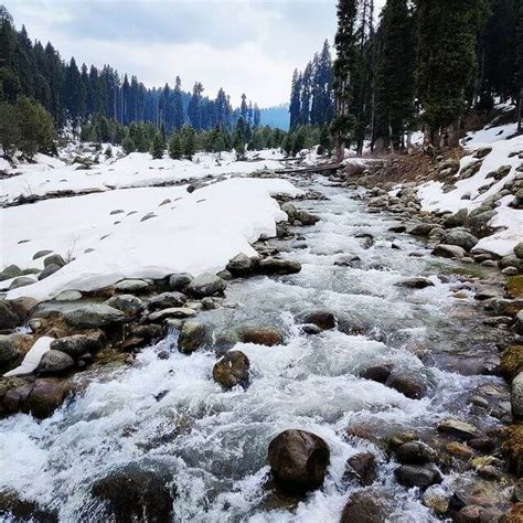 Doodhpathri: The Valley of Milk is an untouched beauty of Kashmir | PixOrange